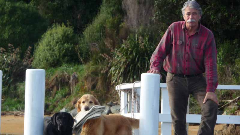 Experience the stunning Queen Charlotte Sounds aboard the Magic Mail Boat for an epic half day cruise!